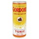 Gordon's London Dry Gin Tonic 250 ml