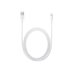 APPLE Câble Lightning vers USB 2 m ( MD819ZM/A )